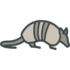 Armadillos in Colorado icon