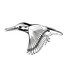 Птахи Житомирської обл. / Birds of Zhytomyr region icon