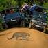 Wildlife Roadkill Documentation Project: Sri Lanka icon