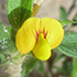 Marulamantsi sandstone walk 31.12.24 icon
