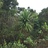 22691 icon thumb