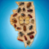 Central Illinois Insects icon