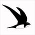 Bebbi Babbler: Morocco 2025 icon