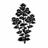 Euphrasia (Eyebrights) of Britain and Ireland (UK+) icon