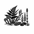 Ferns &amp; Allies (Pteridophytes) of Britain and Ireland (UK+) icon