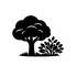 Lignophyta (Trees &amp; Shrubs) of Britain and Ireland (UK+) icon