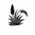 Poaceae (Grasses) of Britain and Ireland (UK+) icon
