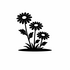 Asteraceae (Daisy family) of Britain and Ireland (UK+) icon