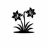 Amaryllidaceae (Amaryllis family) of Britain and Ireland (UK+) icon