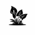 Araceae (Arum family) of Britain and Ireland (UK+) icon