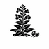 Scrophulariaceae (Figwort family) of Britain and Ireland (UK+) icon