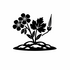 Geraniaceae (Geranium family) of Britain and Ireland (UK+) icon