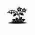 Boraginaceae (Borage family) of Britain and Ireland (UK+) icon