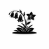 Campanulaceae (Bellflower family) of Britain and Ireland (UK+) icon