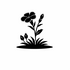 Caryophyllaceae (Pinks family) of Britain and Ireland (UK+) icon