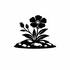 Cistaceae (Rock-rose family) of Britain and Ireland (UK+) icon