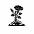 Convolvulaceae (Bindweed family) of Britain and Ireland (UK+) icon