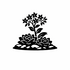 Crassulaceae (Stonecrop family) of Britain and Ireland (UK+) icon