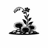 Droseraceae (Sundew family) of Britain and Ireland (UK+) icon