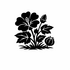 Malvaceae (Mallow family) of Britain and Ireland (UK+) icon