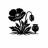 Papaveraceae (Poppy family) of Britain and Ireland (UK+) icon
