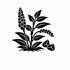 Polygonaceae (Knotweed family) of Britain and Ireland (UK+) icon