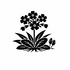 Primulaceae (Primrose family) of Britain and Ireland (UK+) icon