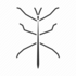 Paličnjaci Hrvatske/ Phasmids of Croatia icon