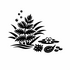 Ceratophyllaceae (Hornwort family) of Britain and Ireland (UK+) icon