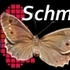 Lepidoptera Brandenburg-Berlin icon