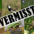 Raum für Biodiversität. Wo sind Darmstadts Arten? icon