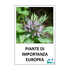 Piante di importanza europea in Lombardia icon