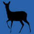 Tracking CWD - British Isles icon