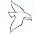 City Nature Challenge Bamyan 2025 icon