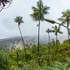 Canyon Île de La Réunion icon