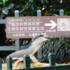 SDUQD城市自然挑战赛（2025） icon