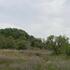 Burr Oak, Montague Co., Texas icon