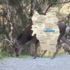 Deer of Leinster icon