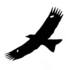 基隆鳥會生態觀察 kitekeelung1 icon