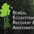 BERA 2025 icon