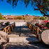 Biodiversidad en el distrito de Sabandía - Arequipa icon