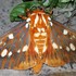 Allen Acres National Moth Week 2018 icon
