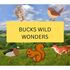 Bucks Wild Wonders icon