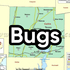 Native Bugs of Collin County icon