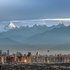 Biodiversity in Chengdu成都生物多样性 icon