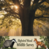 Highsted Wood Survey icon