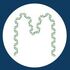 MetaPlantCode Longyearbyen Svalbard July 2025 icon