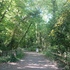 Nature in the London Borough of Southwark icon