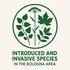 Invasive Species in Bologna Centro icon