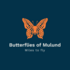 BBMI2025-Butterflies of Mulund icon